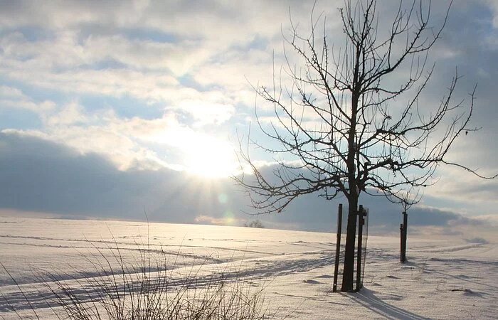 Winter auf dem Jura