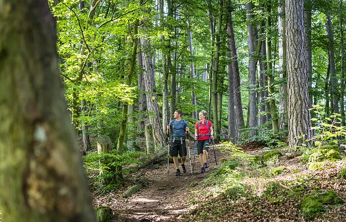 Wandern bei Kipfenberg