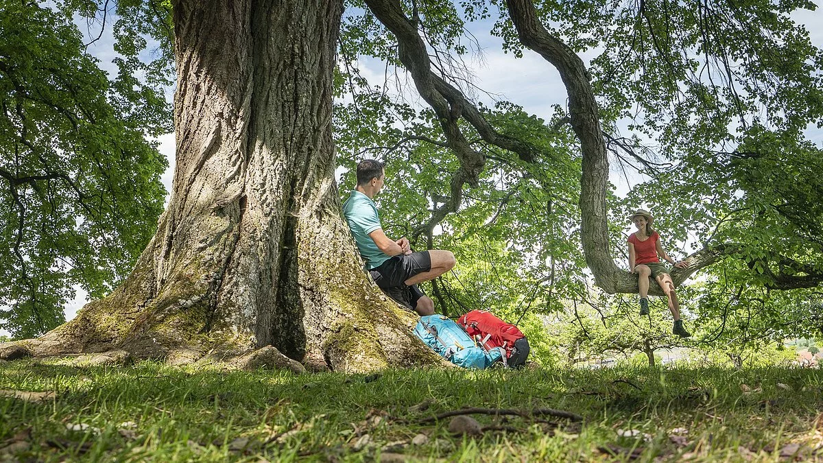 Naturschutzgebiet Buchleite bei Markt Berolzheim