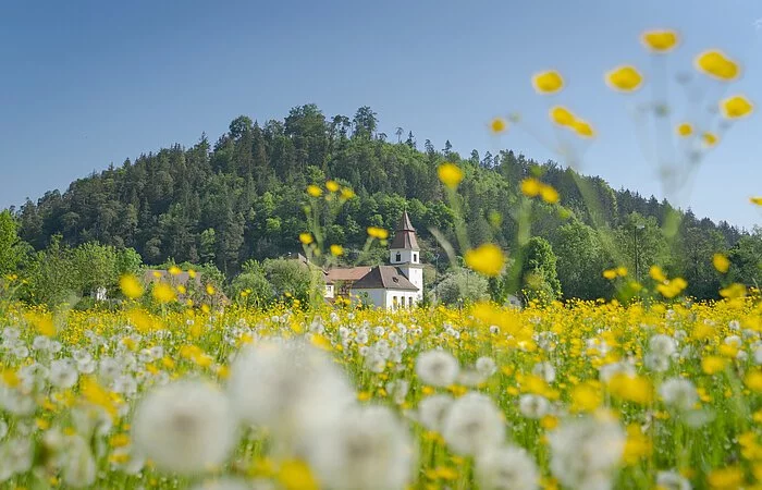 Maria End Kirche in Altdorf