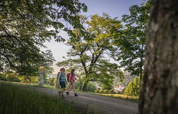 Wanderer am Frauenberg Eichstätt