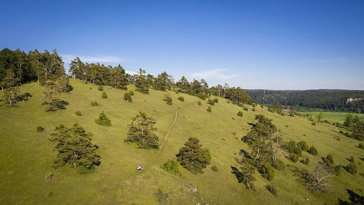 Gungoldinger Wacholderheide