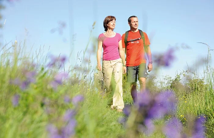 Wandern rund um Dietfurt