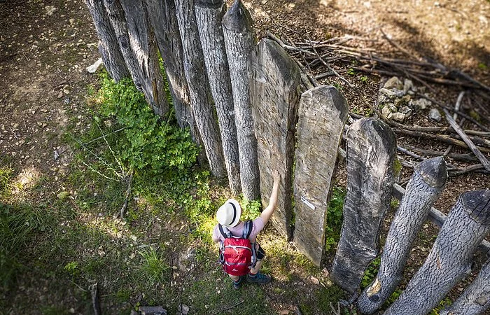 Palisade Kipfenberg