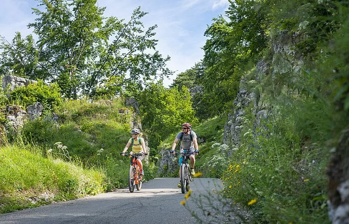 Radler unterwegs auf dem Altmühltal-Radweg bei Kipfenberg