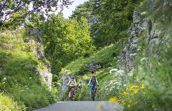 Radler unterwegs auf dem Altmühltal-Radweg bei Kipfenberg