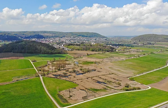 Das Ried bei Dietfurt aus der Luft