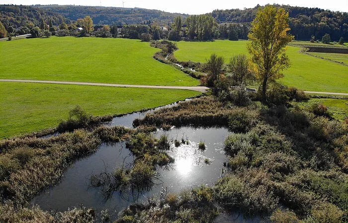 Das Ried bei Dietfurt