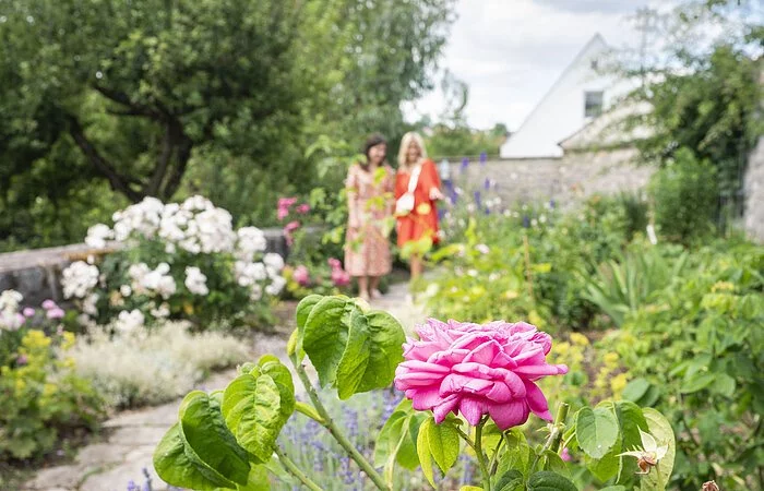 Freundinnen im Rosengarten