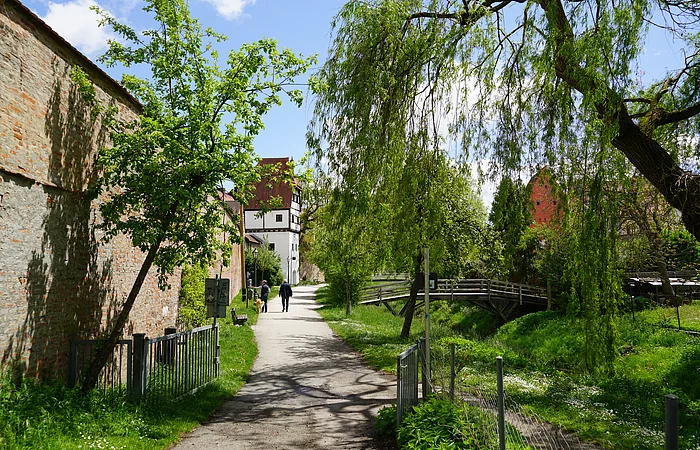 Donauwörth - Onkel-Ludwig-Anlage im Sommer