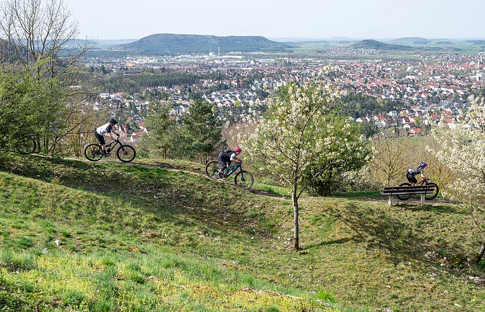 Mountainiker mit Blick auf den Neumarkter Talkessel