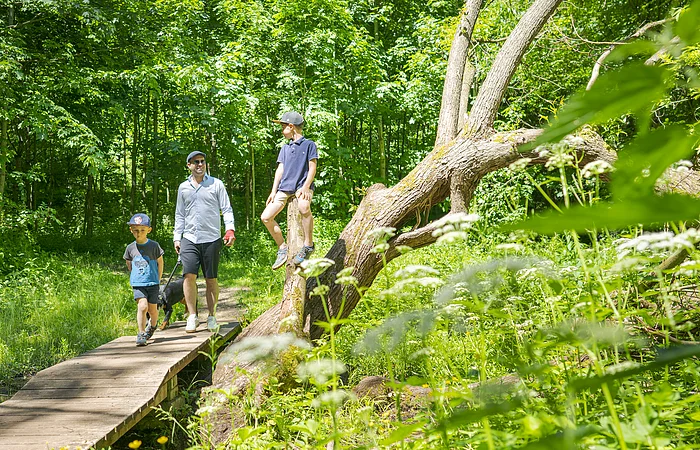 Berching Wanderweg bei Plankstetten