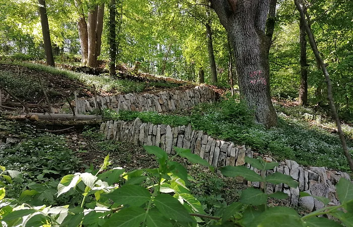 Weinbergmauern Berching