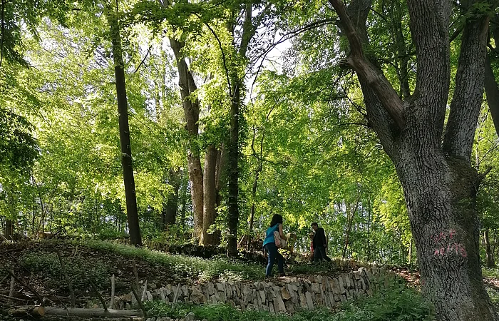 Weinbergmauern Berching