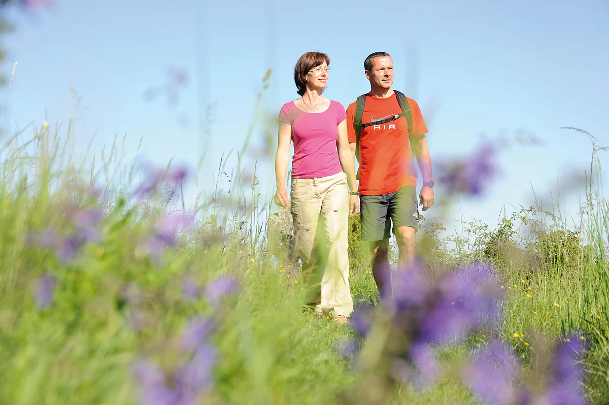 Wandern rund um Dietfurt