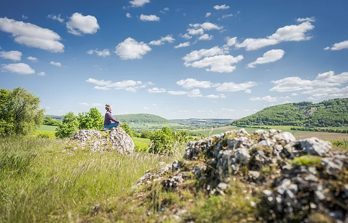 Blick vom Bubenheimer Berg