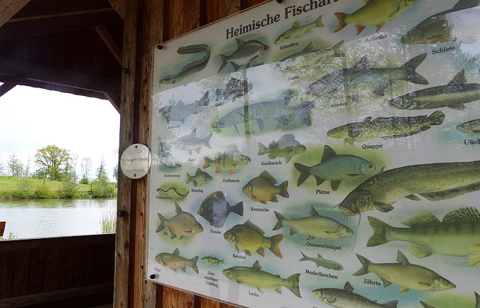 Fischereilehrhütte Monheim am Waldsee