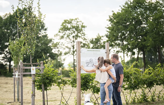 Besuch im Obstlehrgarten