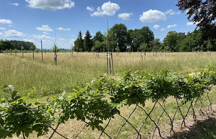 Botanischer Obstlehrgarten Donau-Ries