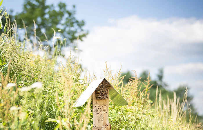 Insektenhotel im Obstlehrgarten