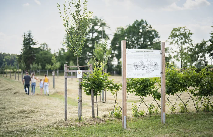 Spaziergang im Obstlehrgarten