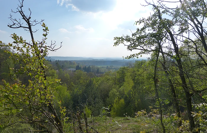 Ausblick Galgenberg