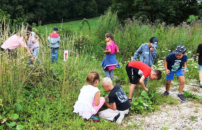 B+ Zentrum Blossenau - Natur entedecken