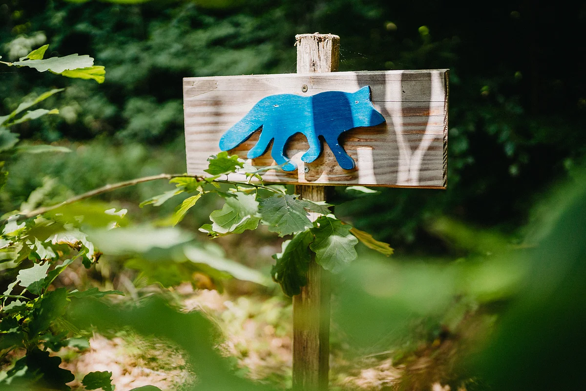 Abenteuerpfad im Walderlebniszentrum Schernfeld Holzschild mit blauer Fuchsfigur, umgeben von grünen Blättern im Wald.
