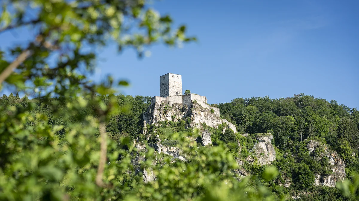 Burgruine Wellheim Burgruine auf einem bewaldeten Felsen unter blauem Himmel, im Vordergrund unscharfe grüne Blätter.