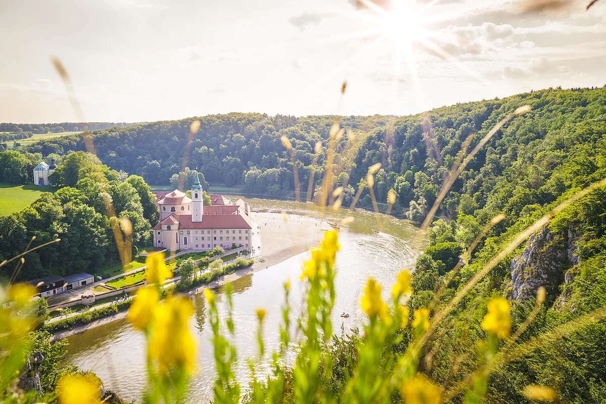 Aussichtspunkt am Kloster Weltenburg Fluss mit Schloss am Ufer, umgeben von Wald und gelben Blumen im Vordergrund bei Sonnenschein