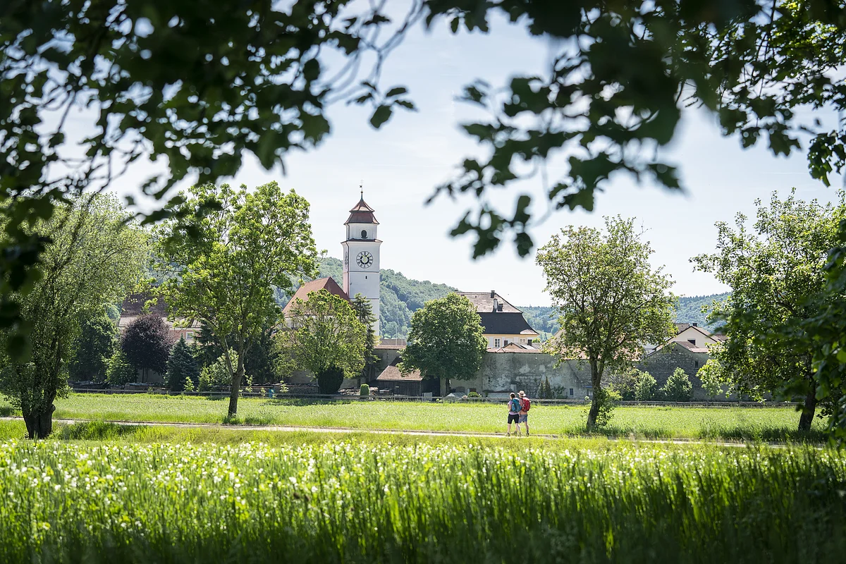 Der Altmühltal-Panoramaweg bei Dollnstein Zwei Personen gehen auf einem Weg durch eine grüne Wiese, im Hintergrund ein Kirchturm und Bäume.
