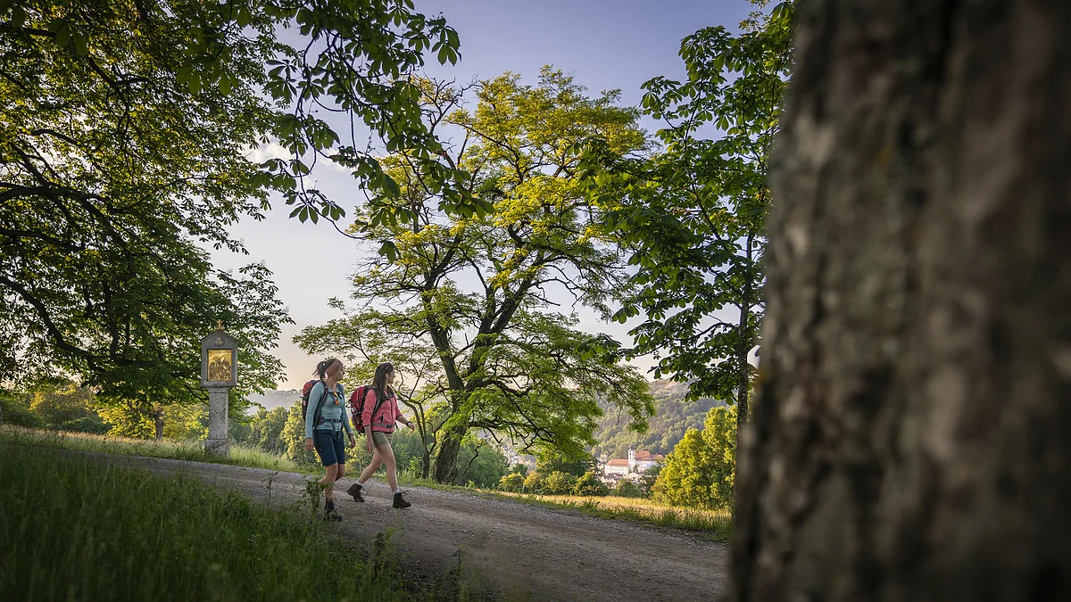 Wanderer am Frauenberg Eichstätt Zwei Wanderer mit Rucksäcken gehen auf einem Waldweg, umgeben von Bäumen und grüner Landschaft.