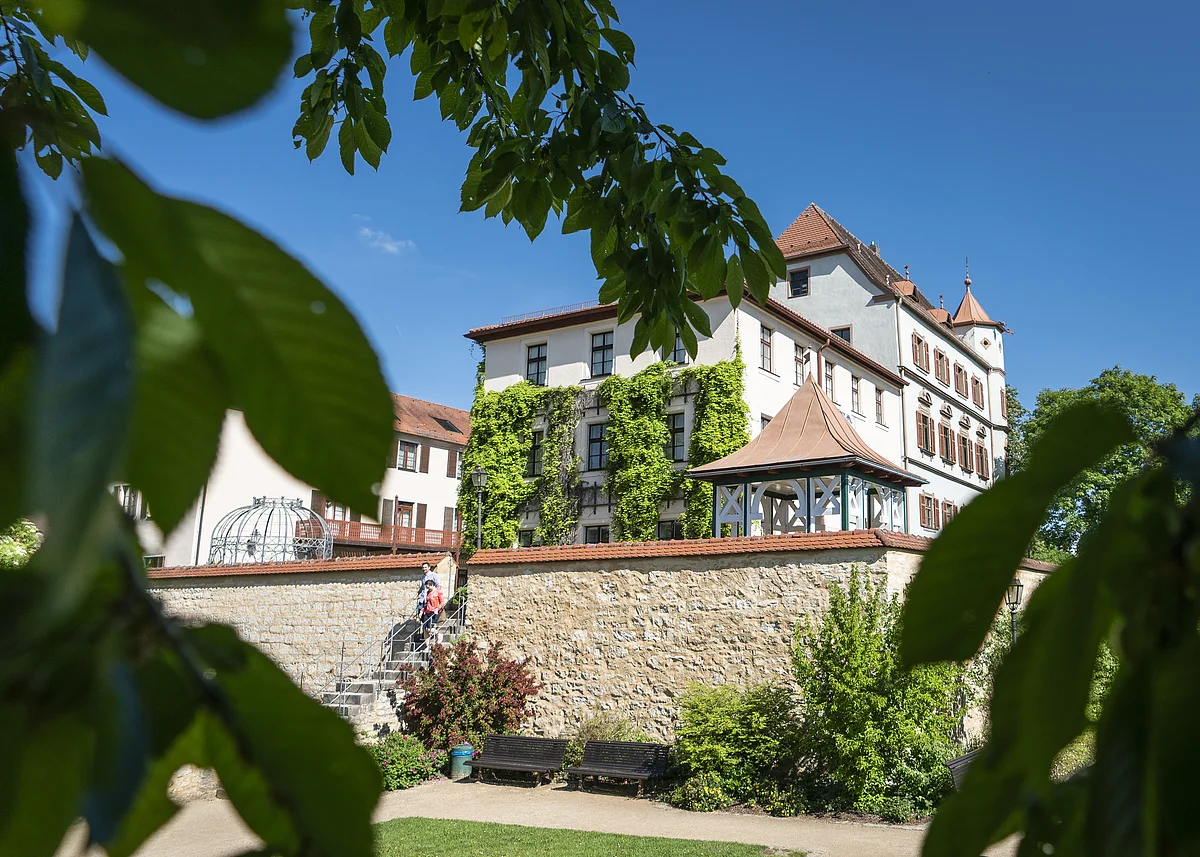 Altes Schloss in Treuchtlingen Blick durch Blätter auf ein historisches Gebäude mit Efeu an der Fassade und einer Steinmauer im Vordergrund.